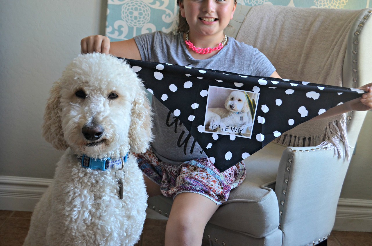 Shutterfly dog bandana Clearance