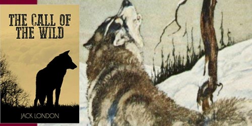 FREE The Call of The Wild Kindle eBook + Audible Book Just 38¢