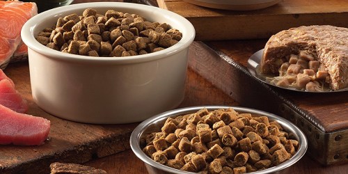 Wellness CORE Grain-Free Dog Food 22-Pound Bag Only $22 on Chewy.com + FREE Dog Treats