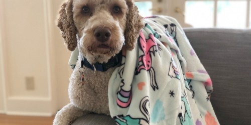 Kohl’s The Big One Supersoft Plush Throws Only $8.49 (Regularly $40)