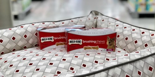 Milk-Bone Brushing Chews Dog Treats Only $1.62 Each After Cash Back at Target