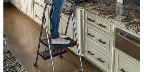 Werner 2-Step Podium Step Stool Only $19.98 Shipped & More Today Only Deals