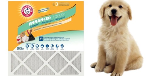 Home Depot: Arm & Hammer 12-Pack Air Filters Only $54 Shipped (Just $4.54 Per Filter)