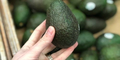 $1.75 Worth of Avocados from Mexico Coupons