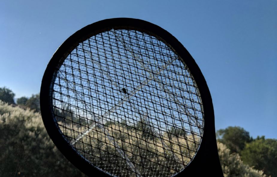 This black flag bug zapper shocks instead of swats - the racket with a zapped fly