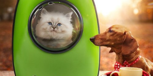 Bubble Pet Capsule Backpack Only $29.99 at Zulily & More
