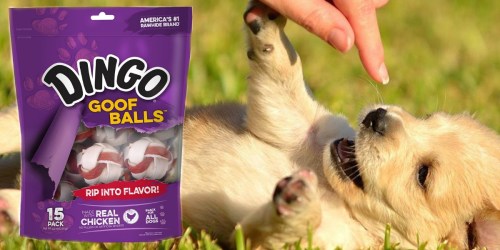 Amazon: Dingo Goof Balls Dog Treats 15-Count Bag Only $3.69 Shipped (Just 25¢ Per Treat)