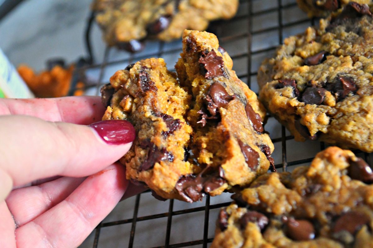 Pumpkin Chocolate Chip Cookies – closeup of a gooey, open cookie