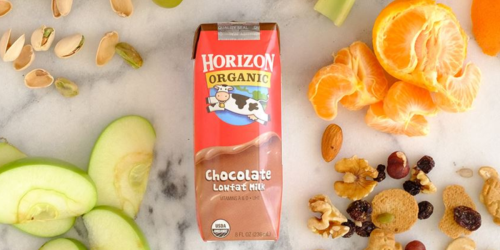 Horizon Organic Chocolate Milk Cartons 18-Pack Just $13 Shipped at Amazon | Great for Lunchboxes