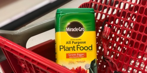 Miracle-Gro 5lb Plant Food Possibly Only $4.64 at Target (Regularly $11.49)