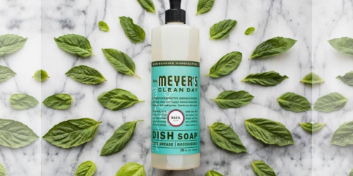 Amazon: Mrs. Meyer’s Clean Day Dish Soap 3-Pack Just $7.58 Shipped (Only $2.53 Each)