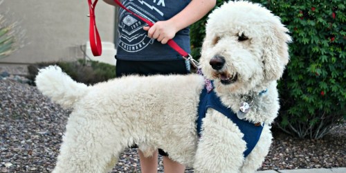MuttNation Step-In Dog Harness Only $9.99 Shipped (Inspired by Miranda Lambert)