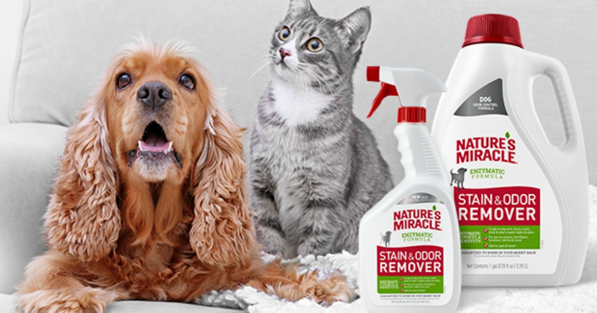 nature's miracle cat odor remover