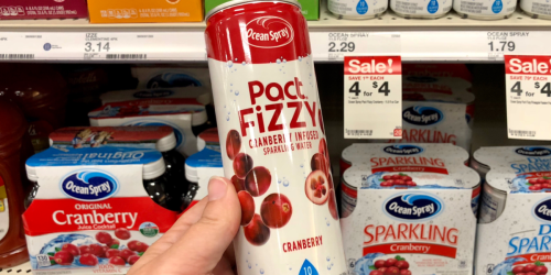 Ocean Spray Pact FiZZY Sparkling Water Only $1 Each at Target