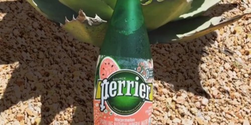 Perrier Sparkling Mineral Water 48-Count Only $23.98 Shipped (Regularly $30)