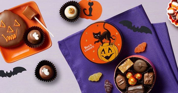 Rare $5 Off $25 See's Candies Purchase Coupon