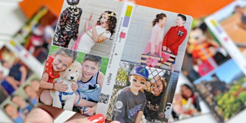 20 Shutterfly Photo Magnets 4-Packs Only $20 Shipped (Just 25¢ Per Magnet!)