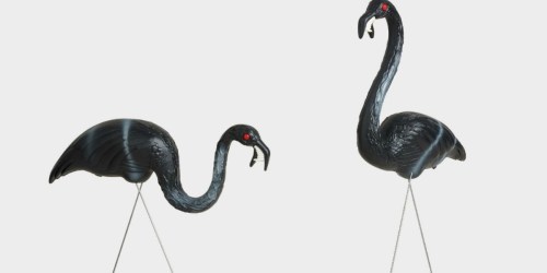 Two Black Zombie Flamingos Lawn Ornaments as Low as $15.99