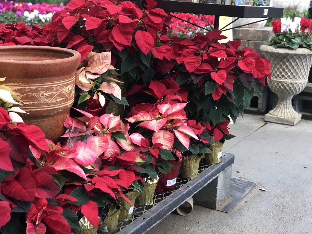 lowes black friday