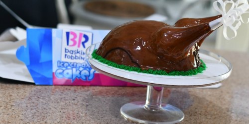 $3 Off Baskin Robbins Turkey Ice Cream Cake