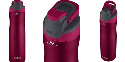 Contigo Stainless Steel 24oz Water Bottle Just $8.49 (Regularly $23)