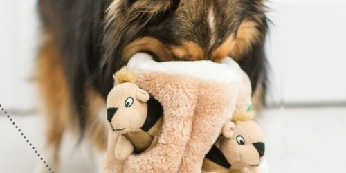 Amazon: Outward Hound Hide-A-Squirrel Plush X-Large Dog Toy Only $10.18 Shipped