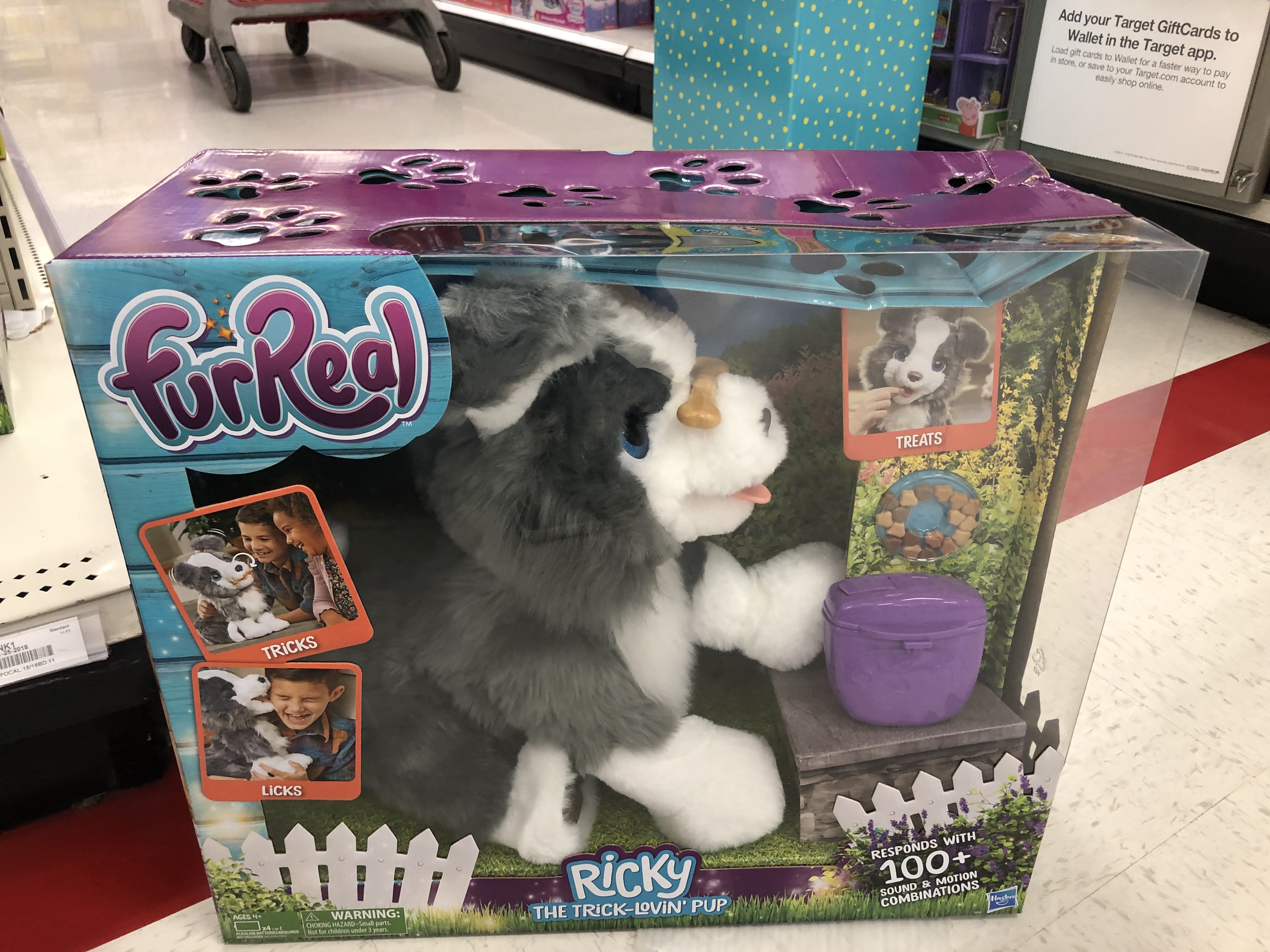 ricky toy dog