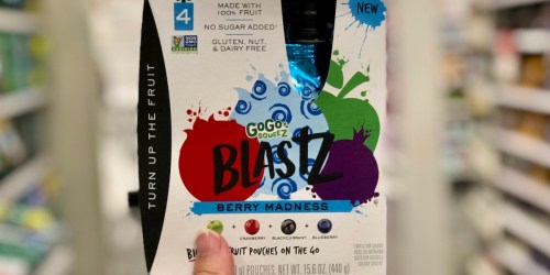 GoGo SqueeZ BlastZ Fruit Pouches Only $1.97 After Cash Back at Target