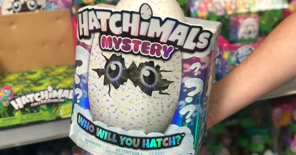hand holding a Hatchimals Mystery toy box