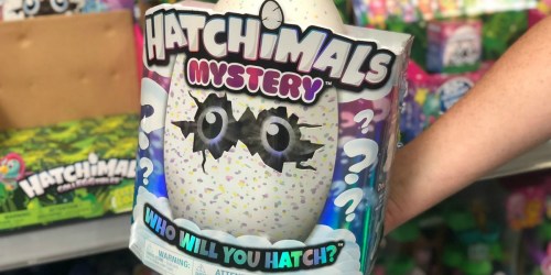 Hatchimals Mystery Egg Only $29.99 Shipped (Regularly $60)
