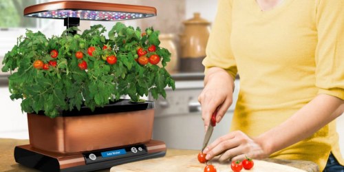 Home Depot: Up to 45% Off Miracle-Gro AeroGarden Hydroponic Systems + FREE Shipping