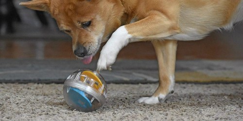 Amazon: Pet Zone IQ Treat Ball Only $5.35 Shipped (Regularly $10)