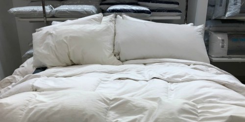Macy’s: Royal Luxe 240-Thread Count Down Comforter as Low as $32.99 Shipped (Regularly $120)