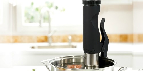 Copper Chef Sous Vide Cooker Only $24.99 on Zulily (Regularly $60)