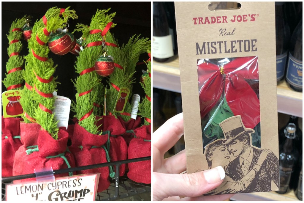 Trader Joes mistletoe