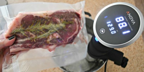 Anova Culinary Sous Vide Precision Cooker w/ Wifi & Bluetooth Just $74.99 Shipped (Regularly 160+)