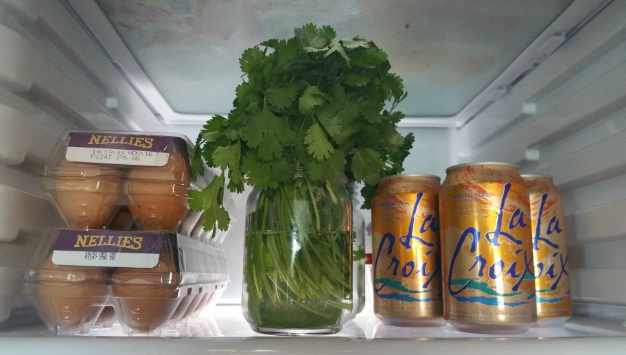 herbs stored in a frdge