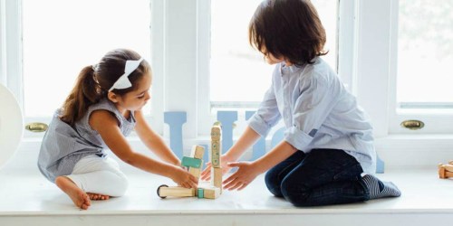 Amazon: 40% Off Tegu Magnetic Wooden Block Sets + Free Shipping