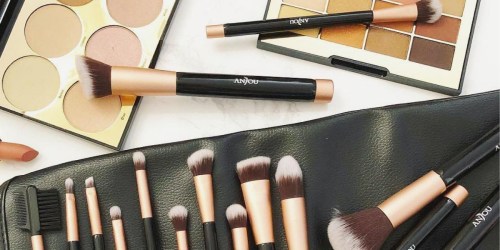 Amazon: Anjou 16-Piece Premium Makeup Brush Set Only $10.99 Shipped