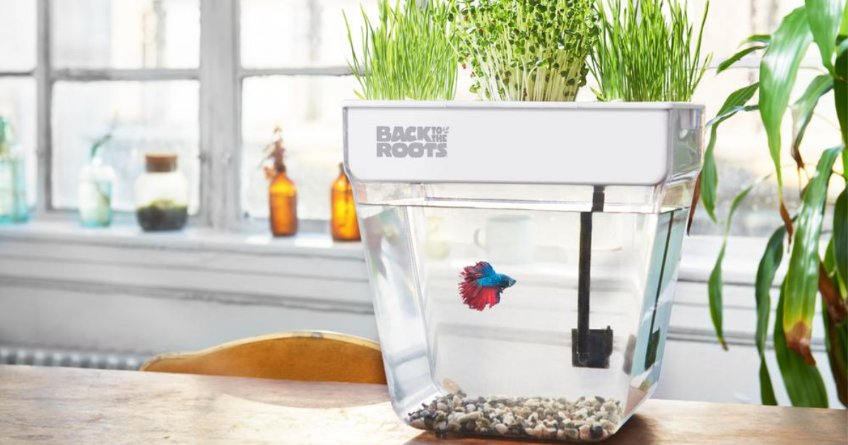 NEW BACK TO THE ROOTS PREMIUM AQUAPONIC WATER GARDEN FISH TANK THAT GROWS FOOD 