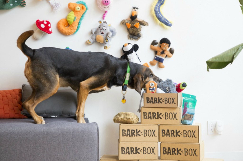 Santa Approved Get Double the Toys & Treats from BarkBox