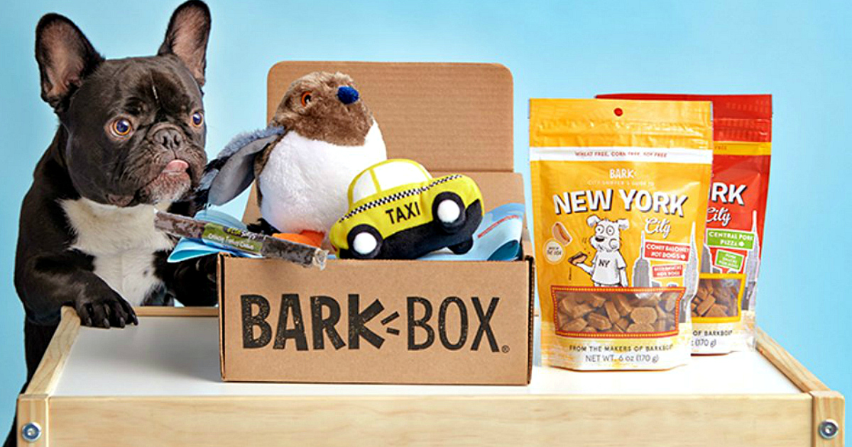 box of dog toys amazon