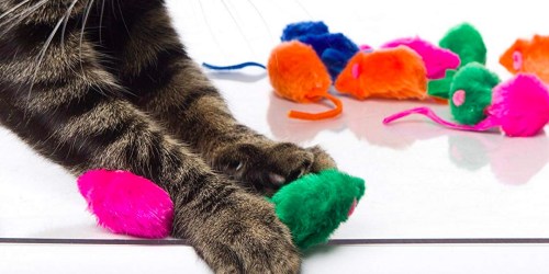 Hartz Kitty Frenzy Cat Toys 12-Count Only $2.99 Shipped (Regularly $8)
