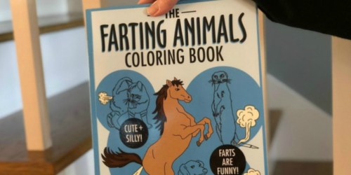 Amazon: The Farting Animals Coloring Book Only $4.60 Shipped + More (Great White Elephant Gift)