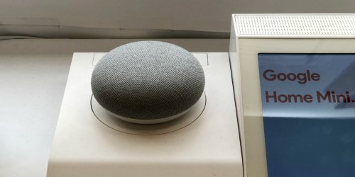 Two Google Home Minis & Google Chromecast Only $70 Shipped at Target