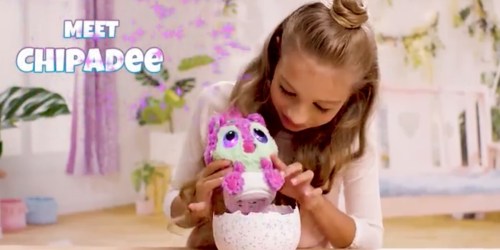 Hatchimals Chipadee HatchiBabies Only $14.99 Shipped (Regularly $60) – Amazon Exclusive