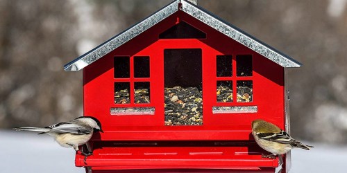 Amazon: Up to 60% Off Perky-Pet Bird Houses and Bird Feeders + Free Shipping