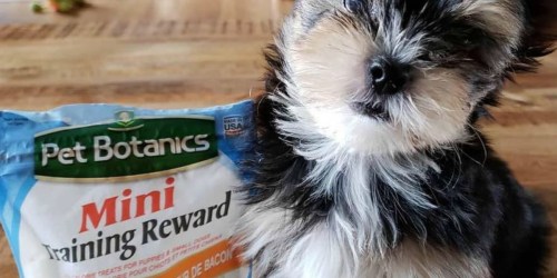 Amazon: Pet Botanics 4 Ounce Mini Training Reward Only $1.13 Shipped