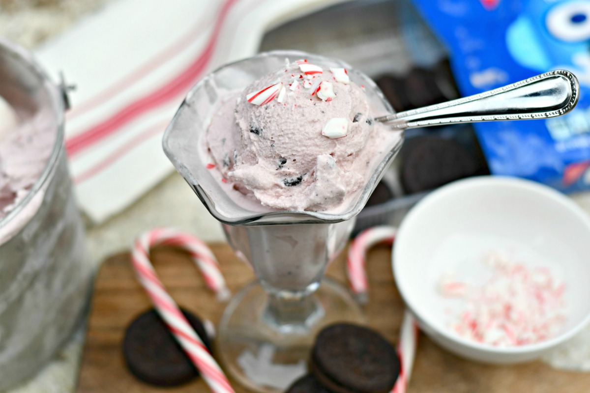 Homemade Peppermint Cookies & Cream Ice Cream – the ice cream with added peppermint sprinkles on top