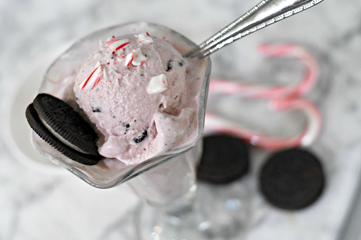 Homemade Peppermint Cookies & Cream Ice Cream – served in an ice cream glass